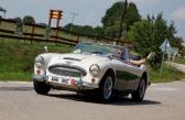 Austin Healey 3000 -3-