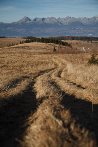 n-tatry-192.jpg